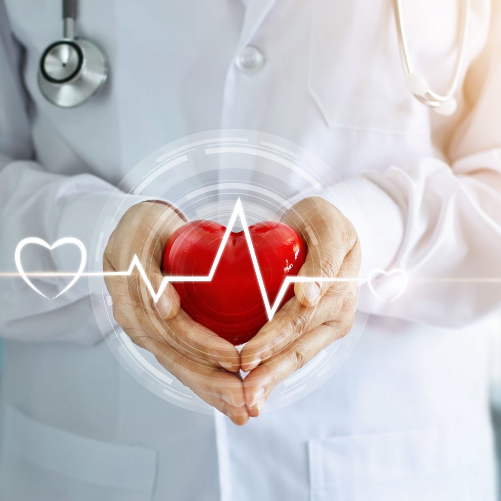 Doctor with stethoscope and red heart shape with icon heartbeat in hands on hospital background